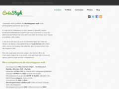 Développeur web à Perpignan