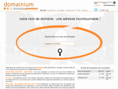 Domaine Premium, portfolios de noms de domaine