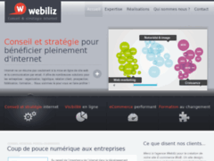 Conseil et stratégie Internet